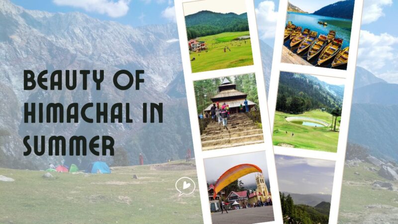 Road Trip in Himachal to discover stunning places