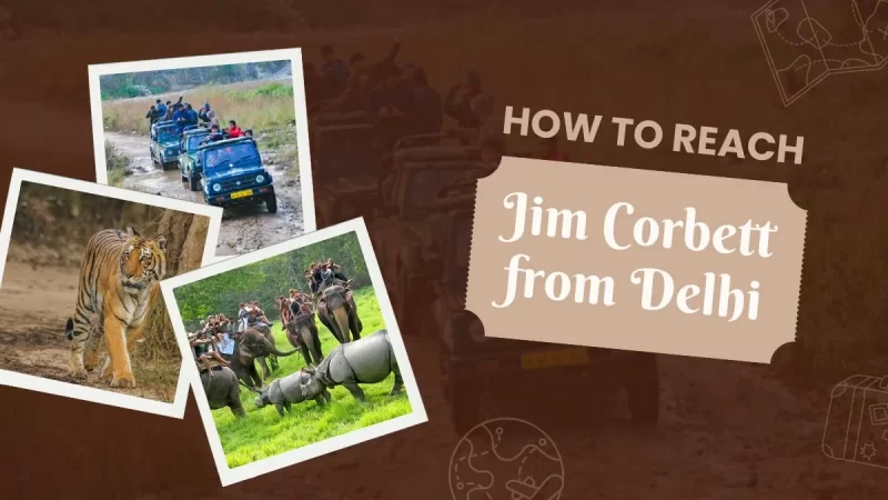 How to Reach Jim Corbett from Delhi