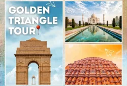 Golden Triangle Tour By road